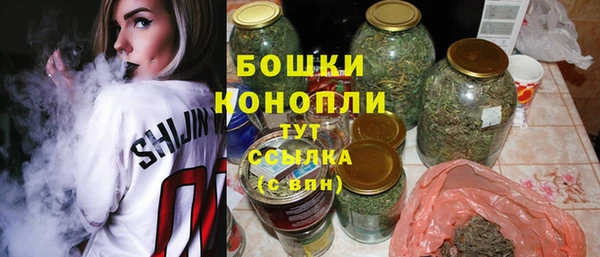 индика Россошь