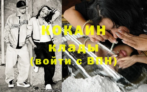 индика Россошь