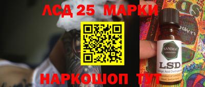 гидра Рязань