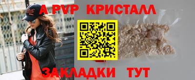 гидра Рязань