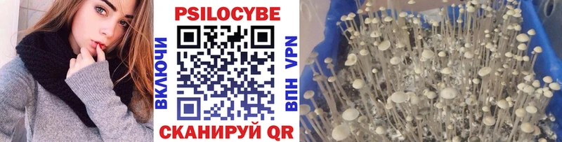 Галлюциногенные грибы Magic Shrooms  Рославль 