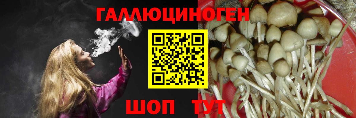 Галлюциногенные грибы Cubensis  Вход с VPN  Рославль 